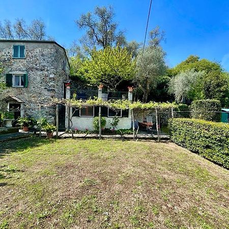 Lobster Cottage Apartment Λεβάντο Εξωτερικό φωτογραφία